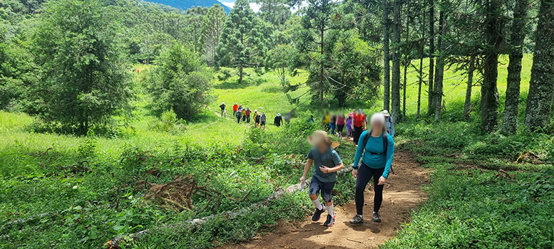 Foto de grupo caminhando tranquilamente pelo fundo do Vale do Matutu em Aiuruoca-MG, um dos roteiros da Ajuru Taxi e Turismo